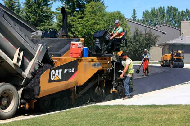 Best Decorative Driveway Pavers  in Salt Creek Commons, IN